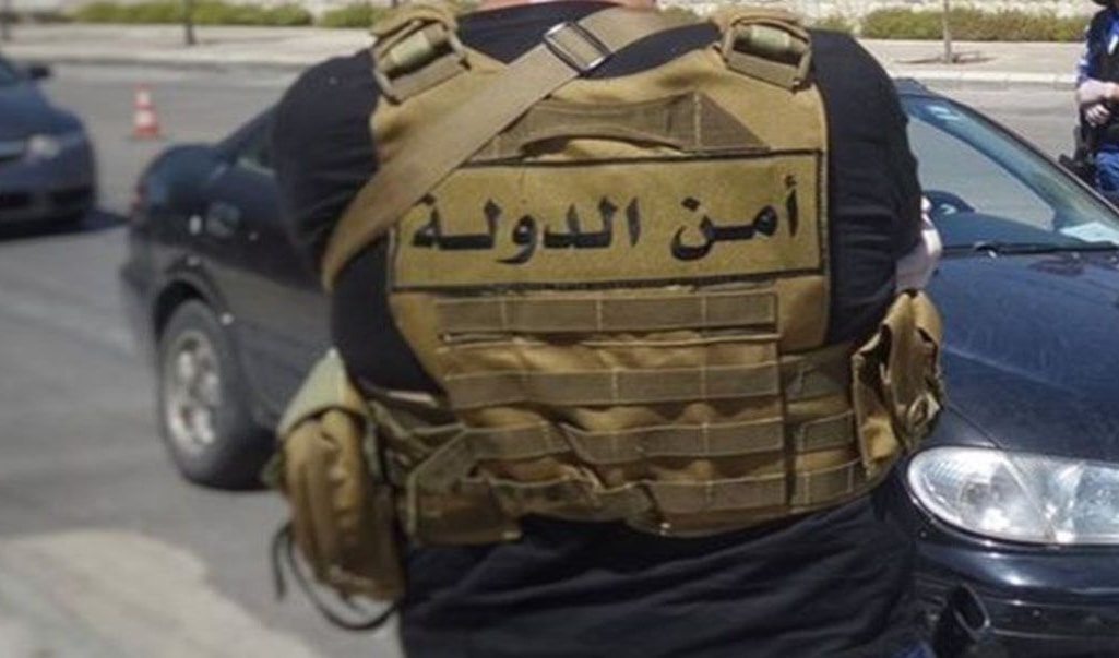 أمن الدولة