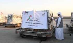 حقيقة المساعدات الإماراتية والسعودية