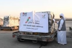 حقيقة المساعدات الإماراتية والسعودية
