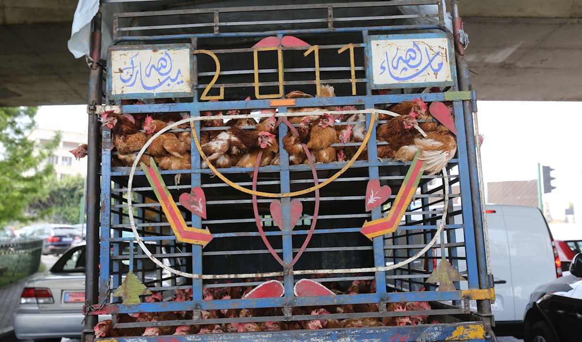 (مروان طحطح)