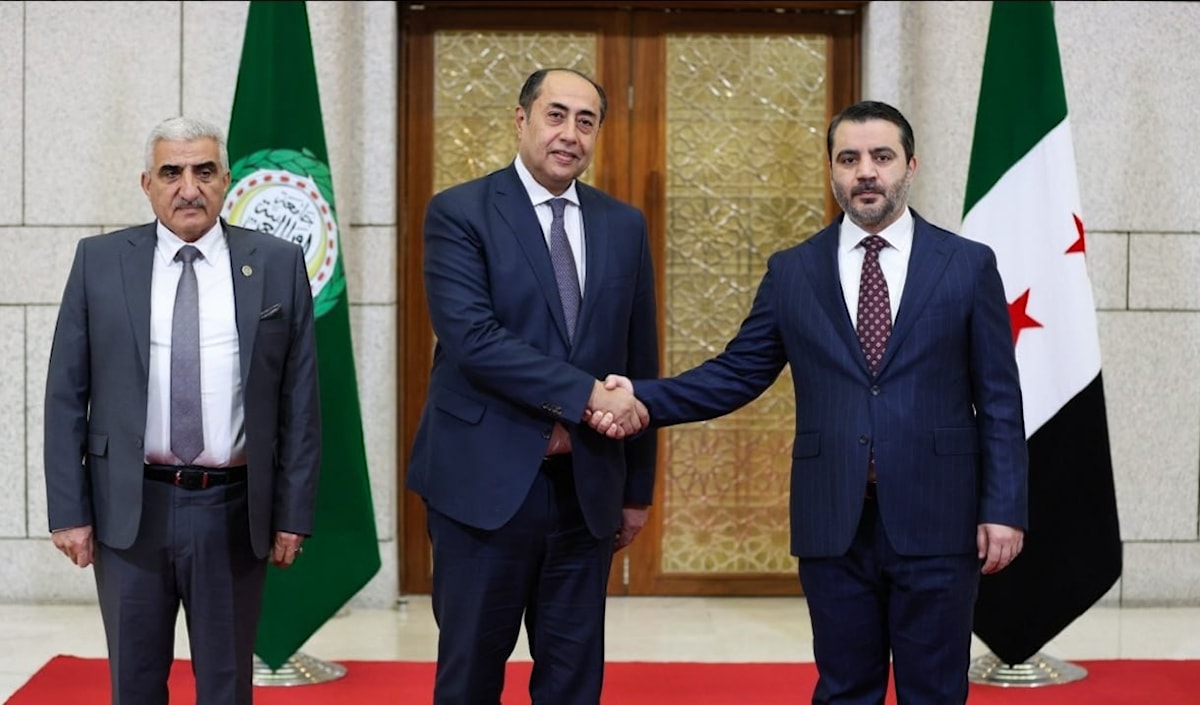 وزير الخارجية السوري يلتقي حسام زكي