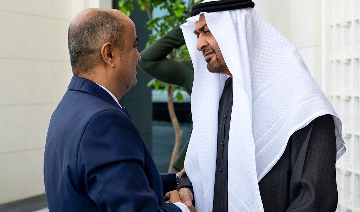 الرئيس الإماراتي، محمد بن زايد، يستقبل رئيس حكومة عدن، سالم بن بريك، في أبو ظبي (أ ف ب)