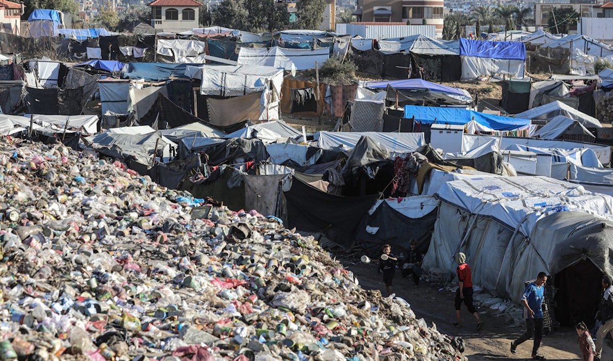 إسرائيل أبادت البشر والحجر و... البيئة