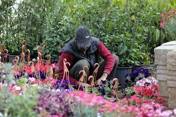 (هيثم الموسوي)