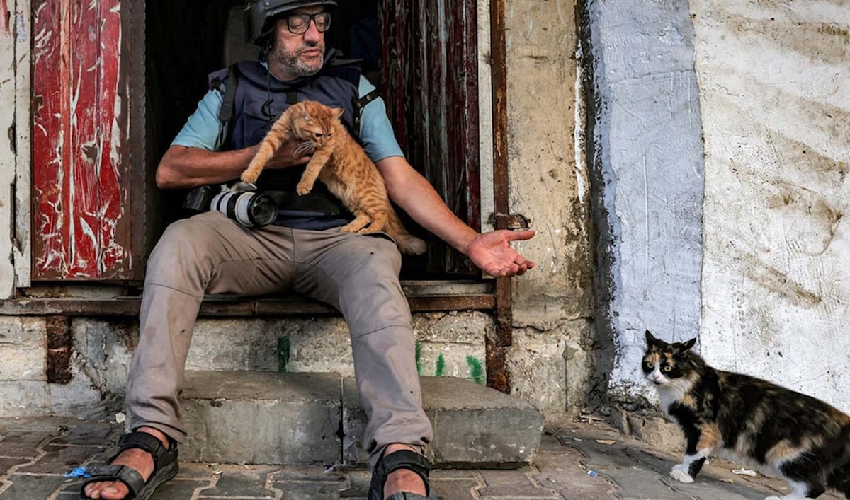 فيلم فرنسي يساوي بين الضحية والجلاد: «داخل غزة»... هذا اسمه الحياد المتواطئ!