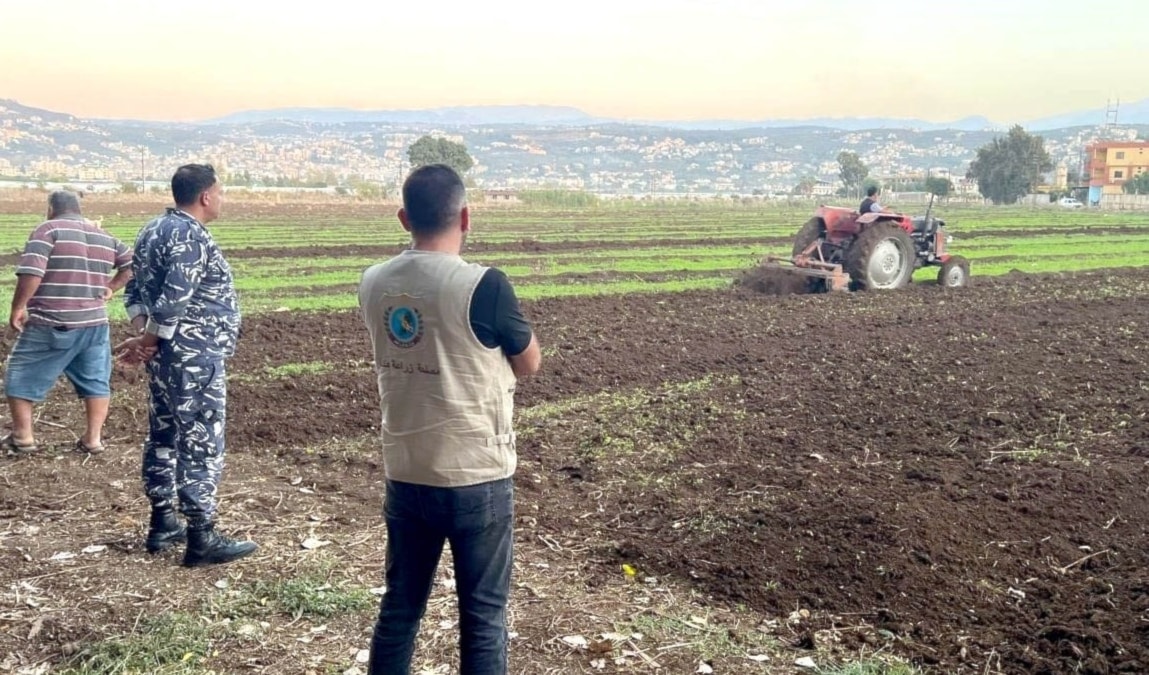 «خُتمت الأراضي المخالفة بالشمع الأحمر، مع منع إعادة زراعتها مجدّداً» (من الويب)