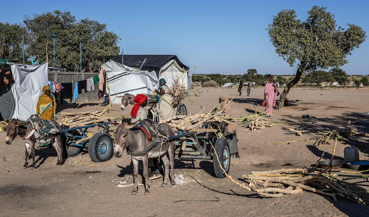 حكومة السودان تعلن شروطها للقبول بالهدنة (فرانس برس)