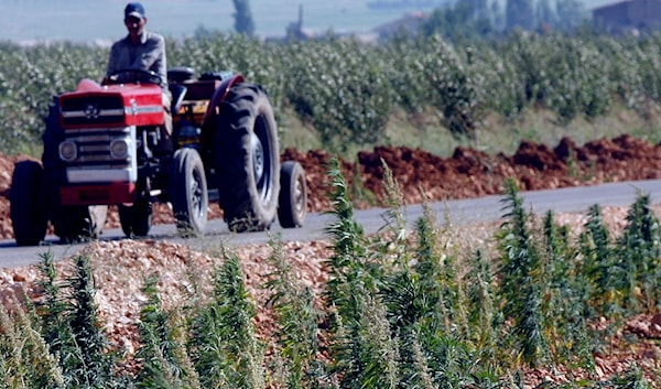 (هيثم الموسوي)