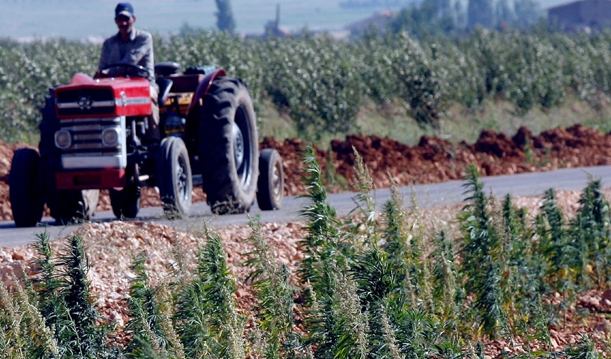 (هيثم الموسوي)