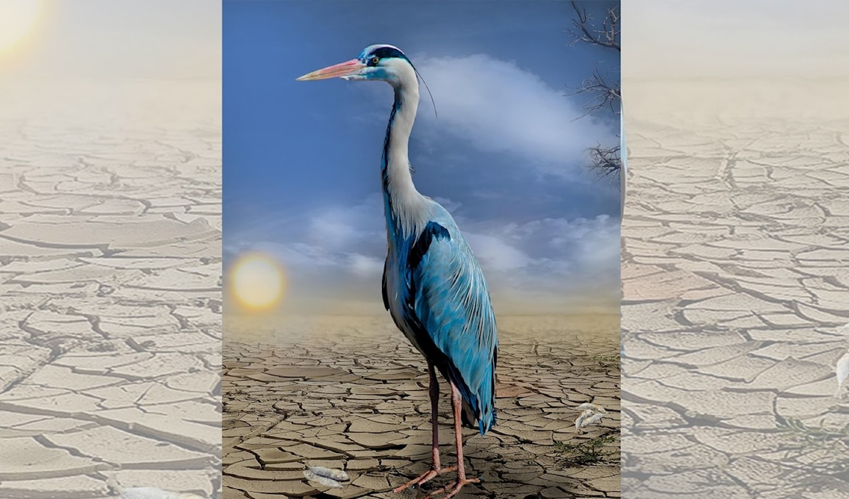 خطّة أوروبا المناخية لعام 2040: لا نَضمن شيئاً!