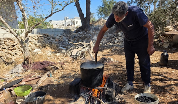 موسم الغار لم يُعَوِّض خسارة الموسمين السابقين (الأخبار)