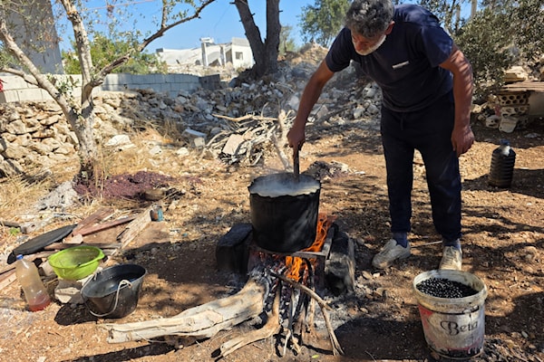 موسم الغار لم يُعَوِّض خسارة الموسمين السابقين (الأخبار)