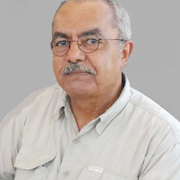 علاء اللامي