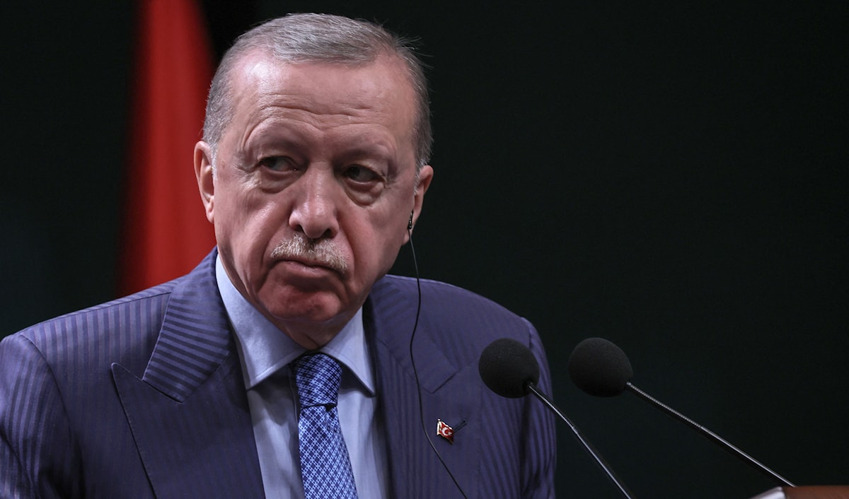 أعلن أردوغان أنّه «علينا حماية وحدة أراضي السودان» (أ ف ب)