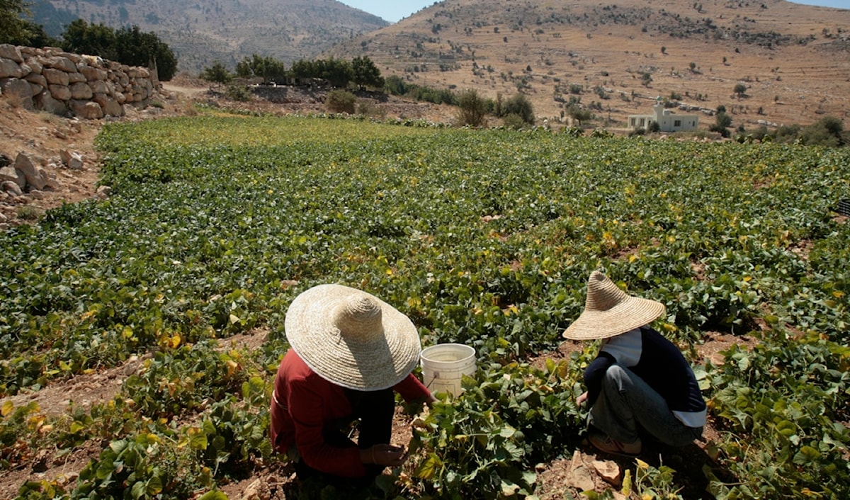 (مروان طحطح)