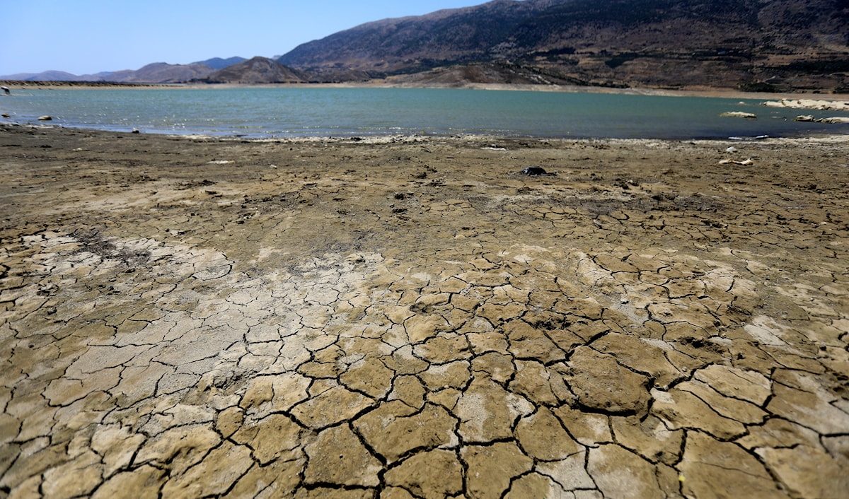 (هيثم الموسوي)