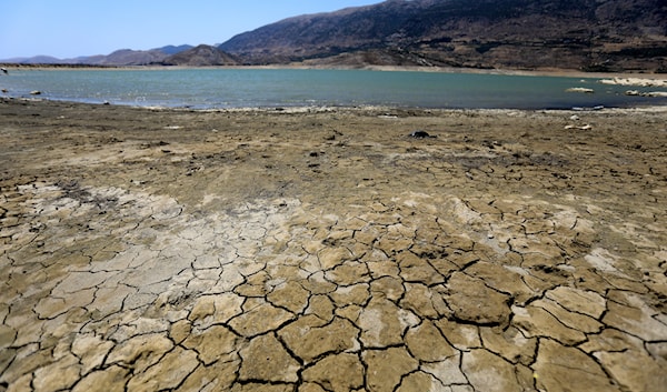 (هيثم الموسوي)