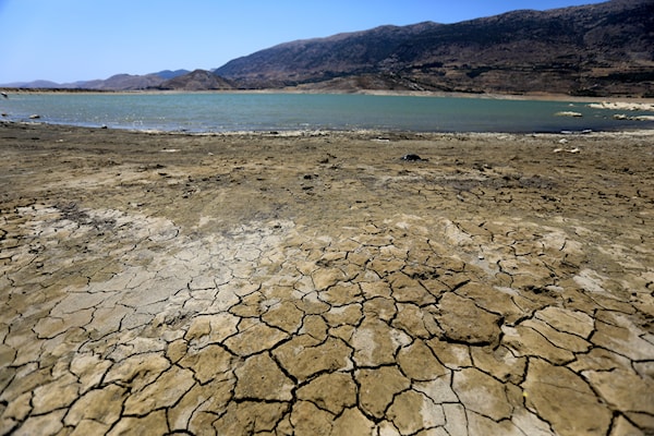 (هيثم الموسوي)