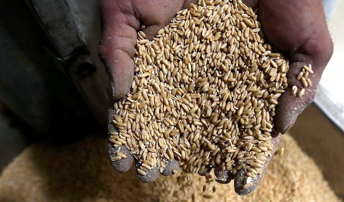 (هيثم الموسوي)