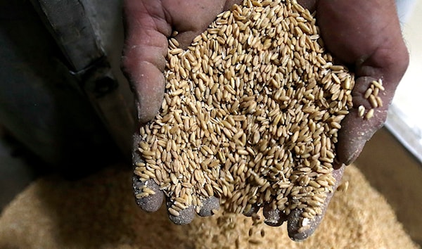 (هيثم الموسوي)