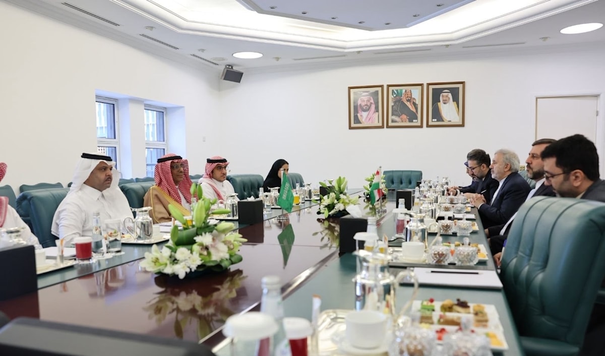 أكد غريب آبادي أن البلدين يملكان قواسم مشتركة كثيرة (من الويب)