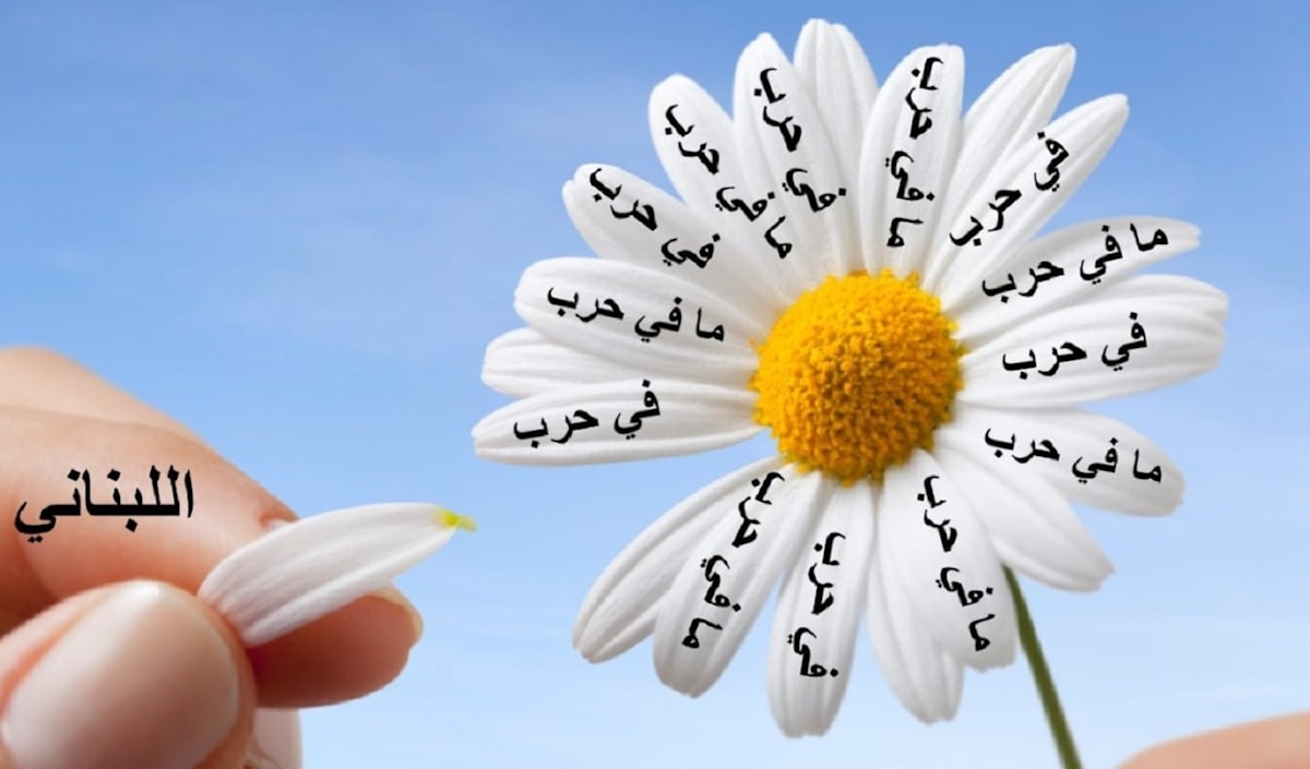 تحمل شبكة «سكاي نيوز» الإماراتية لواء حملة التهويل