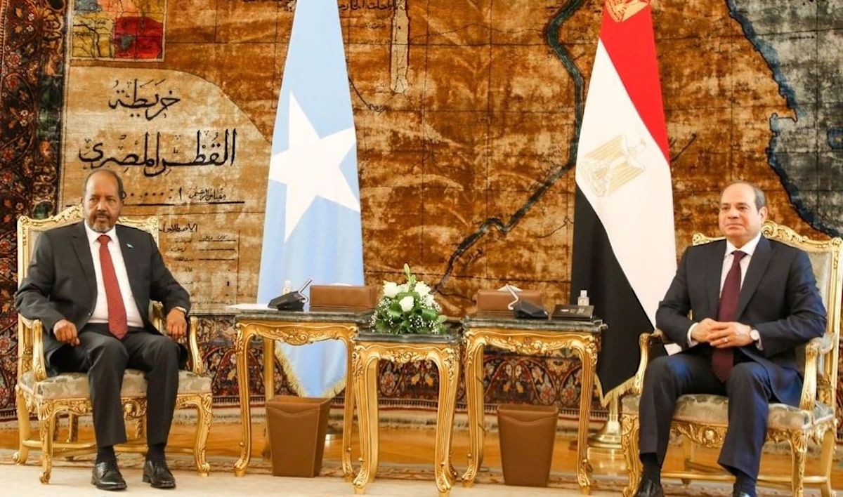 الرئيس المصري، عبد الفتاح السيسي، خلال اجتماع في القاهرة مع نظيره الصومالي، حسن شيخ محمد (من الويب)
