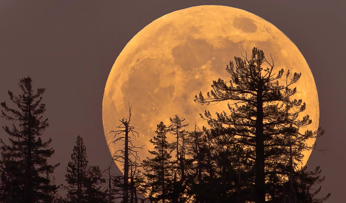 تحدث هذه الظاهرة عادة 3 إلى 4 مرات سنوياً.