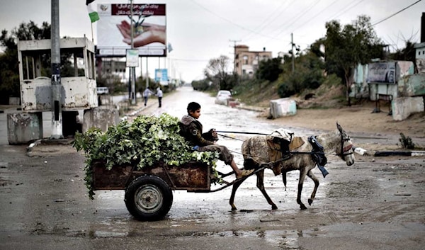 لم أعد أحلم بمغادرة غزّة