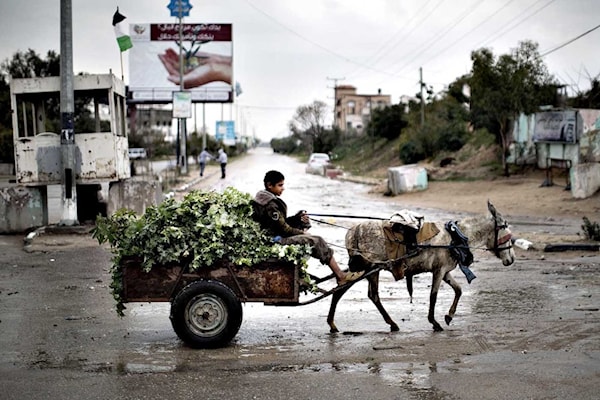 لم أعد أحلم بمغادرة غزّة