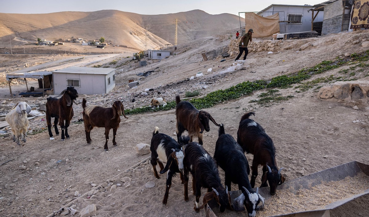 «استمرار هذه التحركات يفرض ضغوطاً متزايدة على التجمعات البدوية» (أ ف ب)
