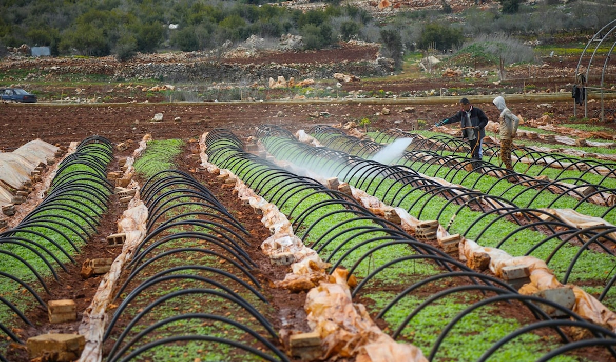 تحسين البنية التحتية الزراعية من بين الحاجات الأكثر إلحاحاً وفق «برنامج الأمم المتحدة الإنمائي» (من الويب)