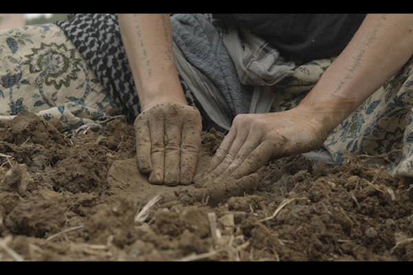 سردة أفلام مع الأرض وأشجارها