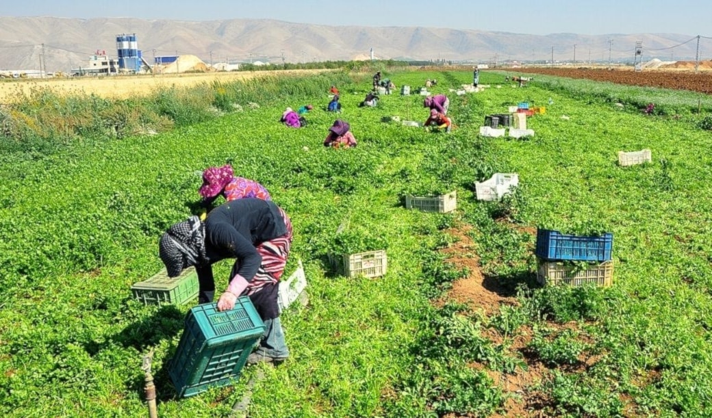 كمية الأمطار المتساقطة غير كافية لتعبئة الخزانات الجوفية (من الويب)