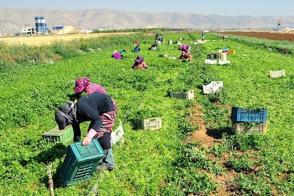كمية الأمطار المتساقطة غير كافية لتعبئة الخزانات الجوفية (من الويب)
