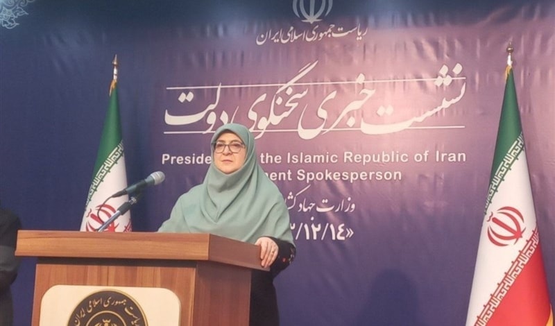أكدت مهاجراني أن المفاوضات يجب أن تتم بإرادة حرة (وكالة تسنيم)