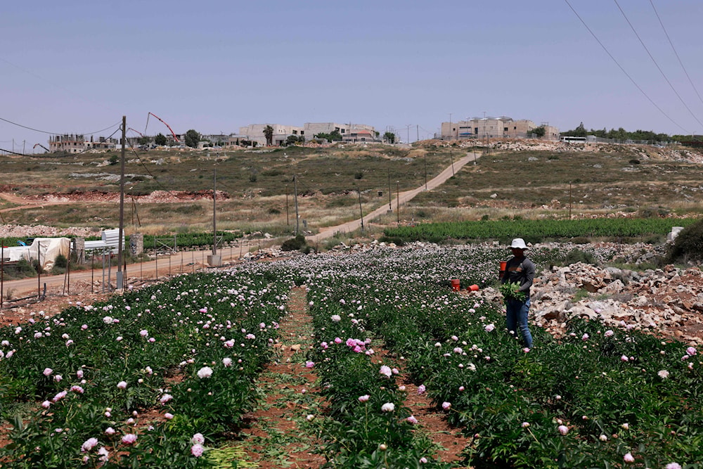 سيؤدي القرار إلى &laquo;نهب أراضي فلسطينيين&raquo; (أ ف ب) 