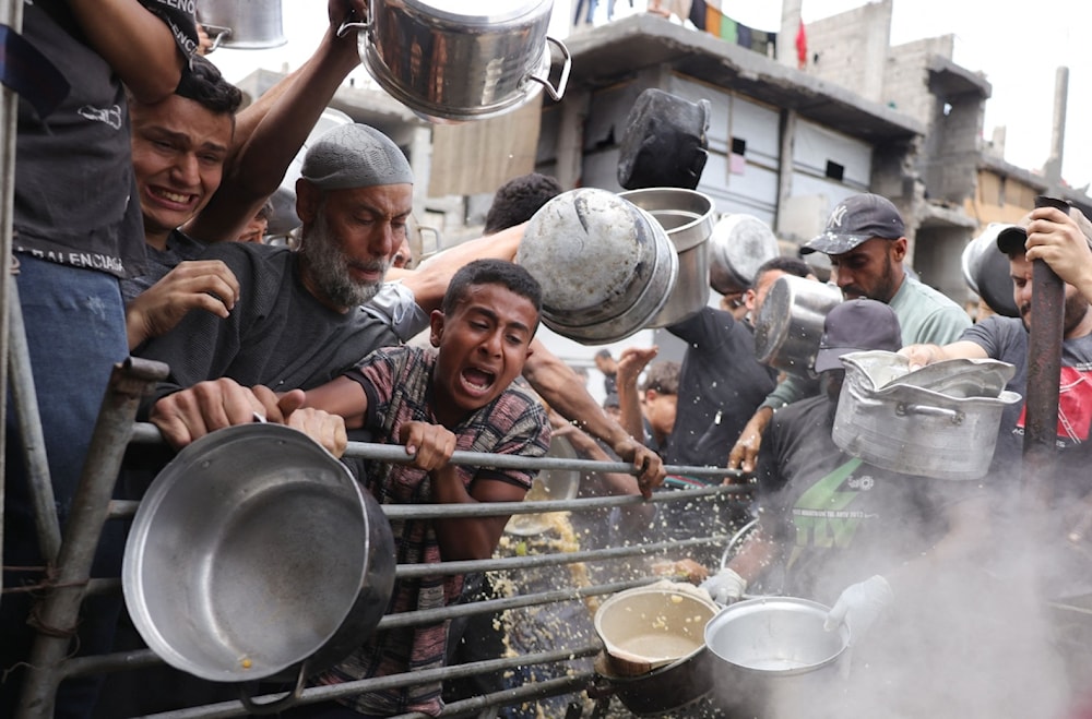 مسؤولة قسم التغذية في مركز الشيخ رضوان: معدلات سوء التغذية بين الشهر والآخر تسجل ارتفاعات كبيرة (أ ف ب)