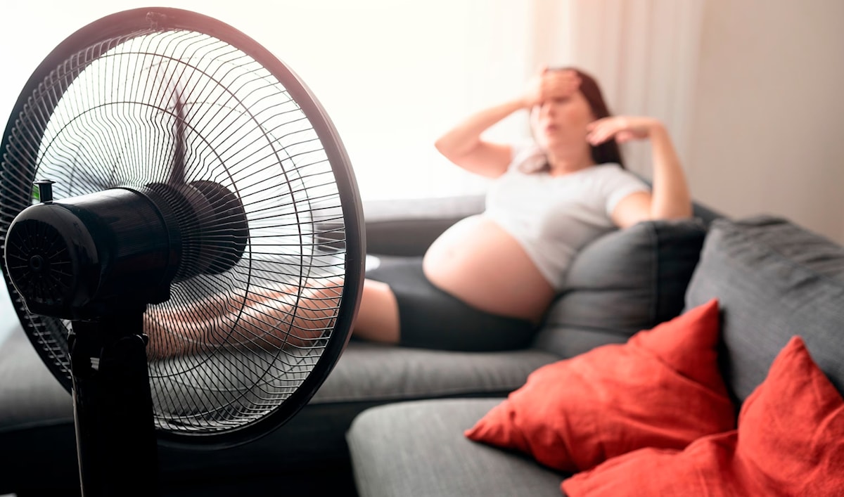 بعض المواقع الرسمية بدأت توفر توصيات دقيقة ومفيدة.