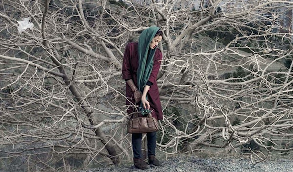 نوشا تافاكوليان ـ «ألبوم إيراني» (2014 ـ 2015)