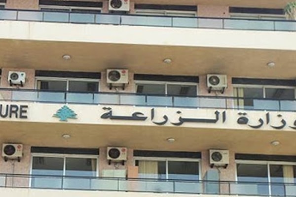 أكدت وزارة الزراعة أنّ «سلامة قطاع الثروة الحيوانية هي مسؤولية وطنية مشتركة» (من الويب)