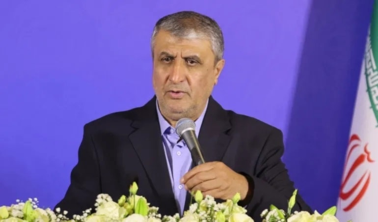 اتهم إسلامي «الوكالة الدولية للطاقة الذرية» بأنها تخضع لتأثيرات سياسية شديدة (من الويب)