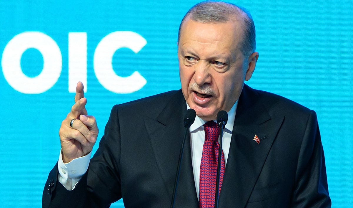أردوغان: لن نسمح بجر سوريا إلى الفوضى (أ ف ب)