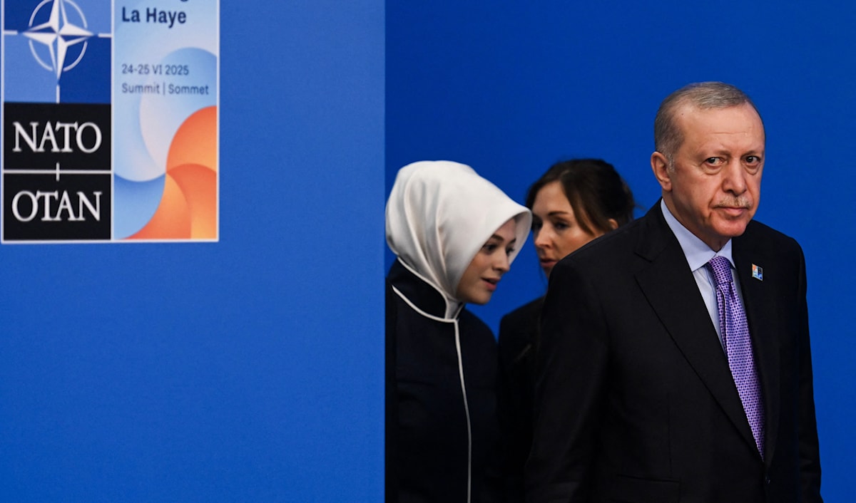 أكد أردوغان أن تركيا تواصل جهودها من أجل سلام عادل في أوكرانيا (أ ف ب)