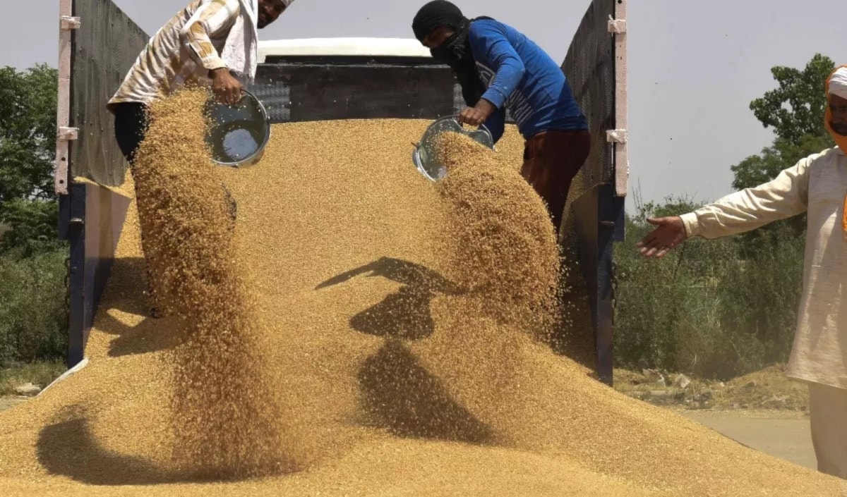 الجفاف سيدفع السلطات الى الاعتماد بشكل متزايد على الاستيراد (من الويب)