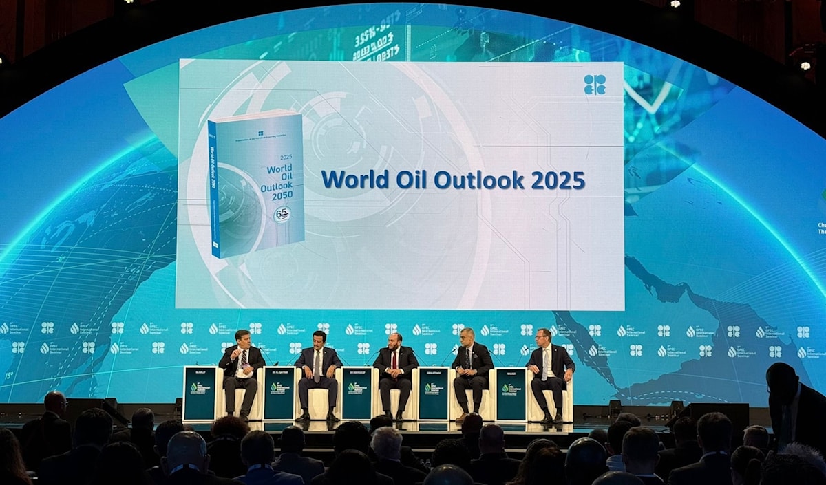 توقعت المنظمة أن يرتفع استهلاك النفط بنسبة 18,6% بين عامي 2024 و2050 (من الويب)