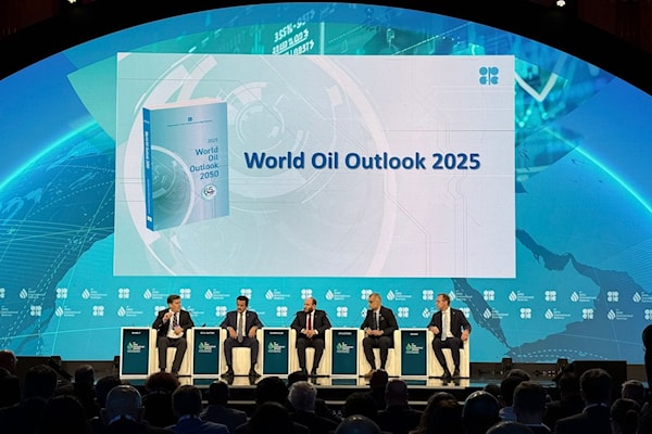 توقعت المنظمة أن يرتفع استهلاك النفط بنسبة 18,6% بين عامي 2024 و2050 (من الويب)