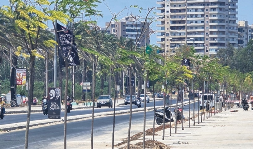 صورة وخبر