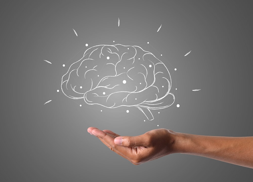 الدماغ البشري البالغ يستمر في إنتاج خلايا عصبية جديدة حتى في سنٍّ متقدمة