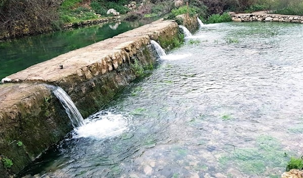 التعدّي مسموح على محميّة الحجير؟
